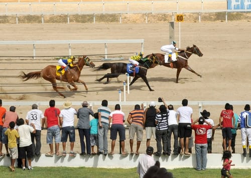 Cavalos Quarto de Milha cruzam a chegada da Penca I, com torcida na grade