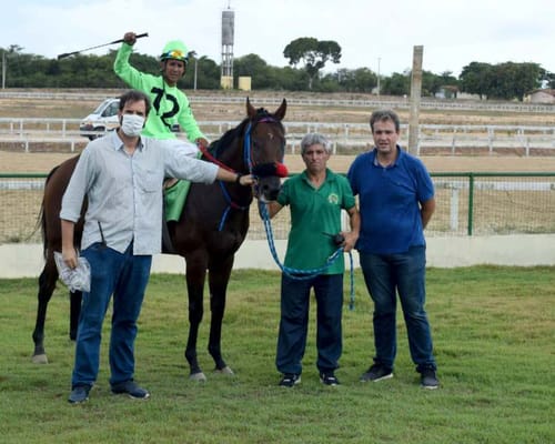 Jóquei comemora a vitória de chicote erguido, montado no cavalo