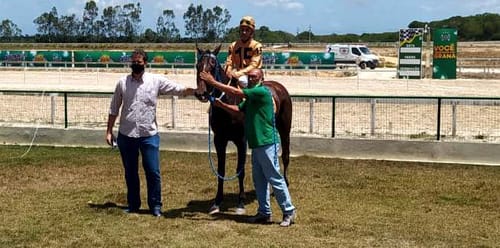 Premiação de vencedor com placas verdes ao fundo